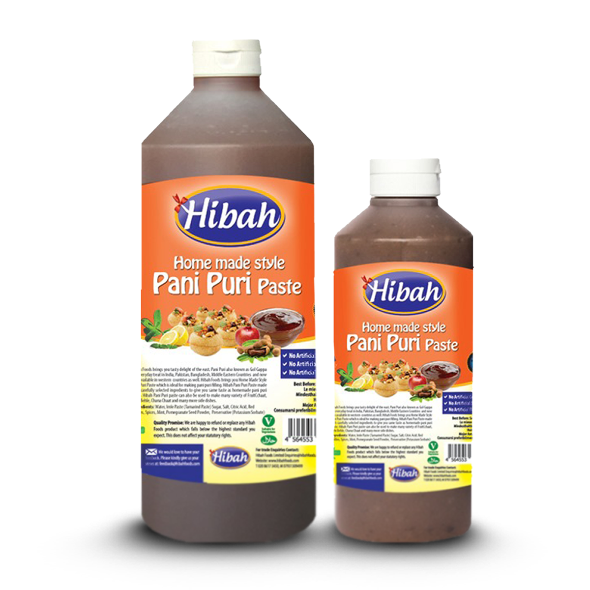 Home made style pani puri paste Pani Puri Paste - Image 1